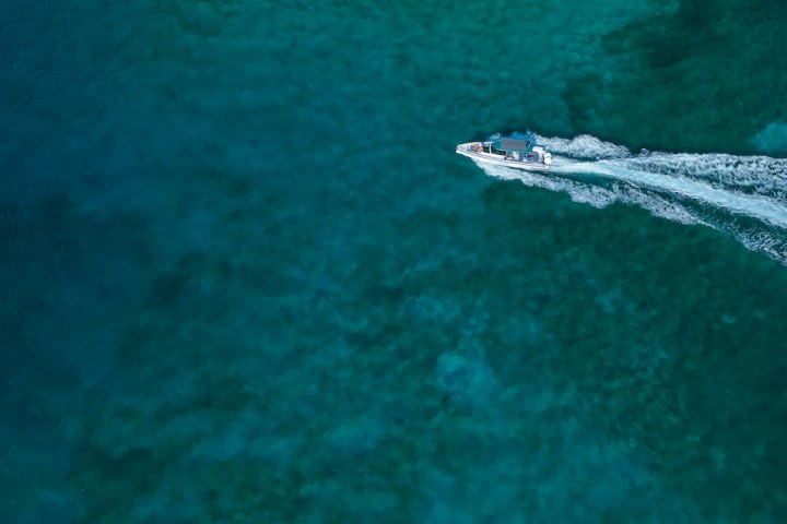 a fish swimming under water