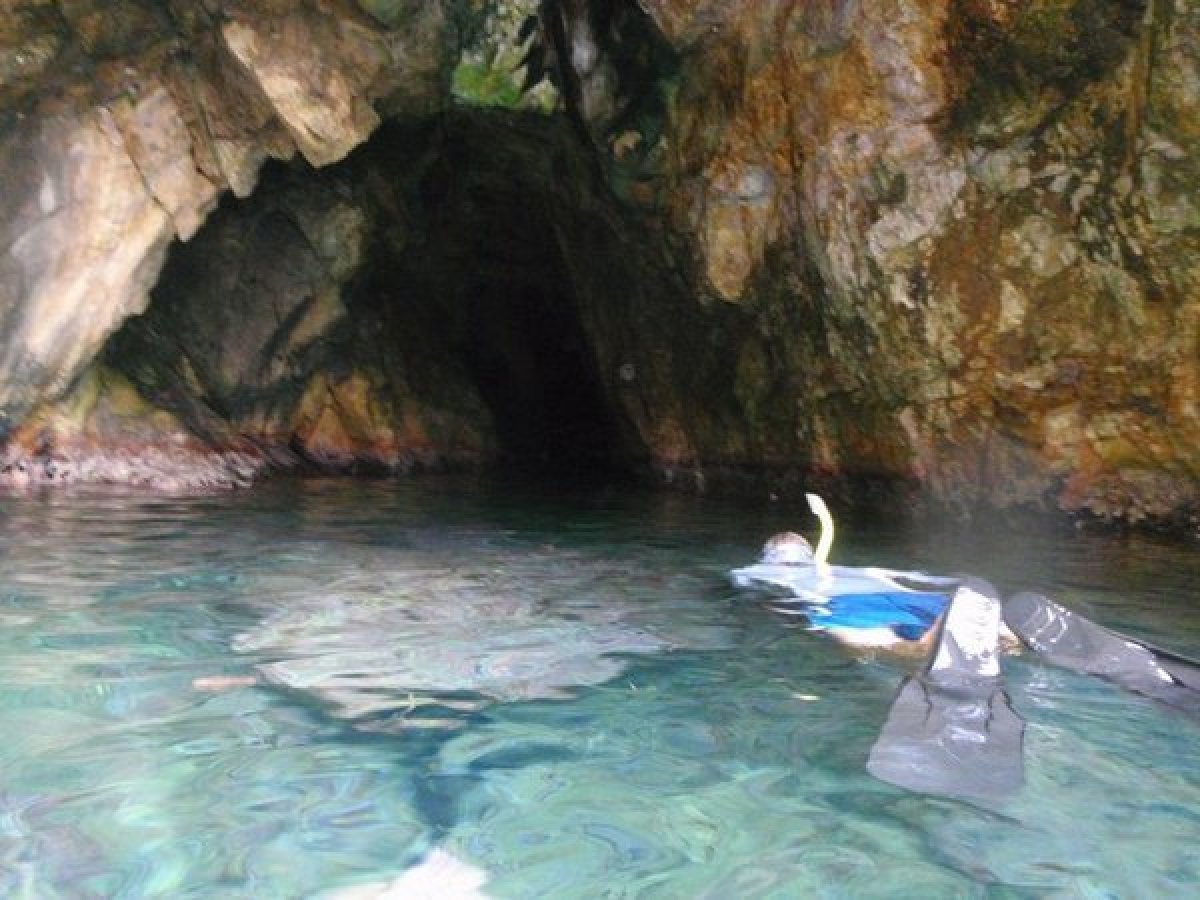 a fish swimming under water