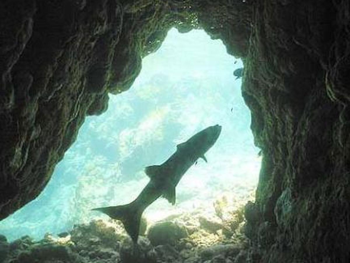 a cave next to a body of water