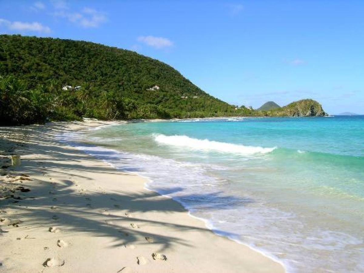 a sandy beach next to a body of water