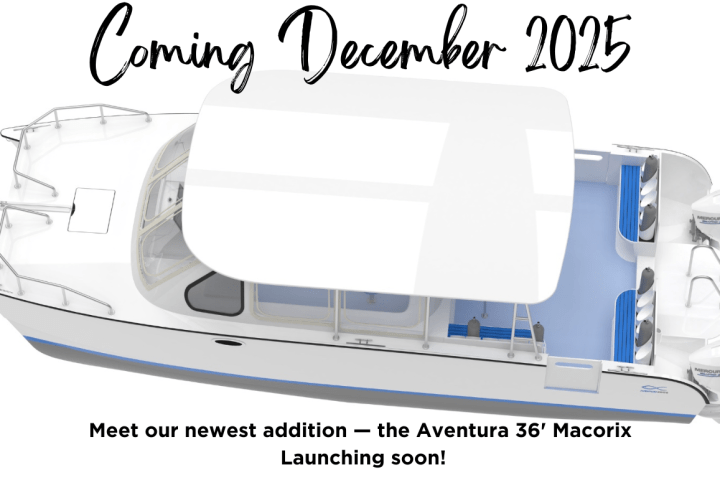 Catamaran with white canopy, two outboard motors; text: Coming December 2015, Aventura 36' Macorix launching soon.